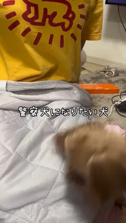 警察犬？！