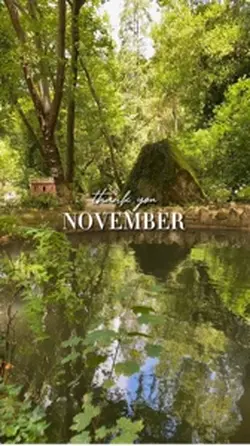NOVEMBER DUMP