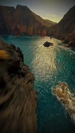 New trend