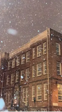 Snowy Night