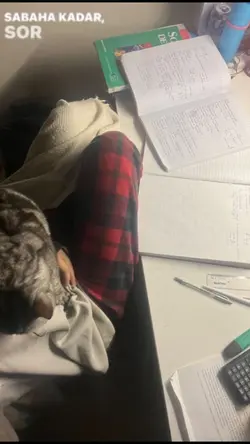 Bi ara atıf olmicam 