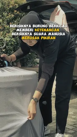status burung
