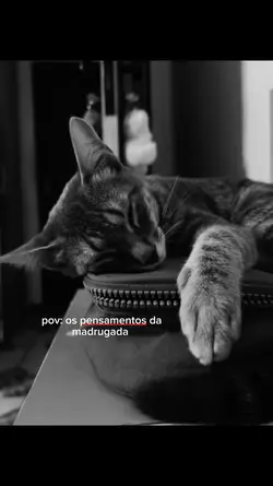pensamentos madrugad