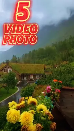 5 clip or photo 