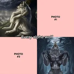 every alpha wolf