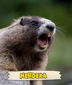 MERDEKA