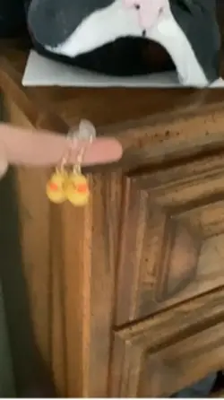 Ducks
