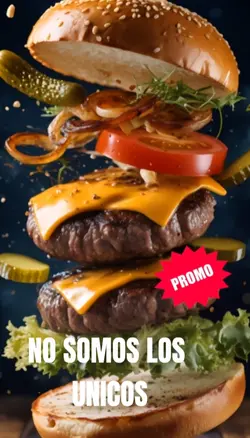 HAMBURGUESAS 