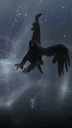 NIGHT FLIGHT 