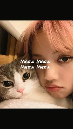 Meow Meow Meow