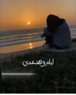 جربو القالب 