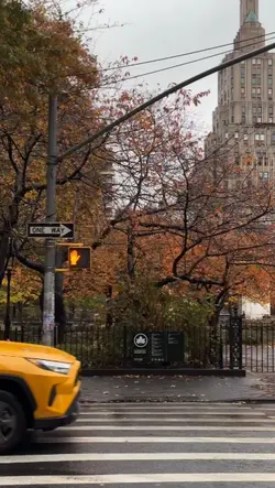 City Vlog
