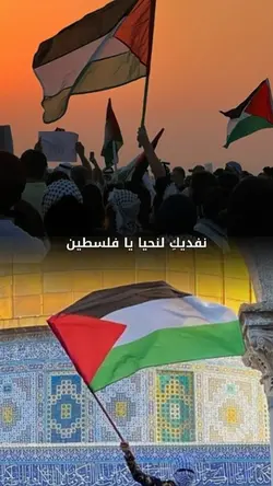 Falasteen Biladi