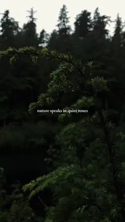 Nature therapy