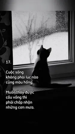 caption + màu
