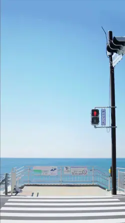 1 Video / 26 foto