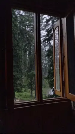 rain