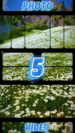 6 clip or photo 