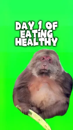 Day 1 of diet