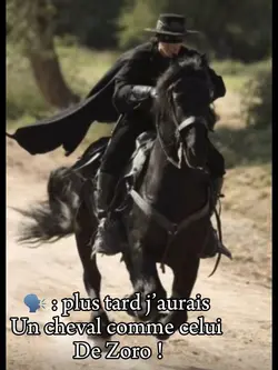 Cheval Zoro 🖤