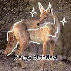 My birthday!