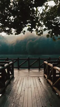 slowmo video