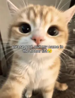 please, please