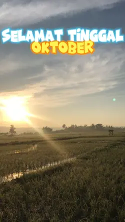 Welcome November