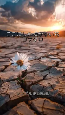 ここにしか咲かない花/コブクロ