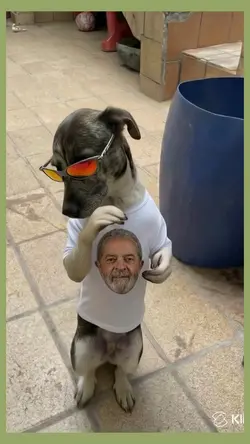 dancing dog