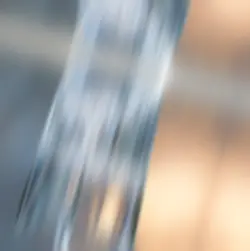 shake it to the max 