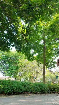 VLOG CHILLL NHẸ