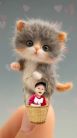 Fairy Cat