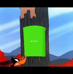Trending Templates