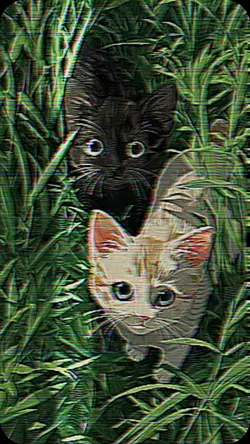 Glitch Effect