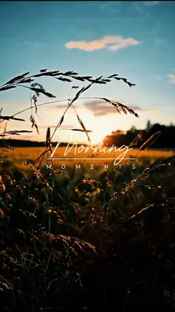 Morning Moments