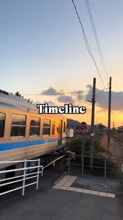 Timeline