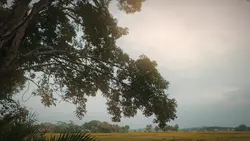 Village cinematic