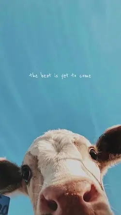 lirik aesthetic 