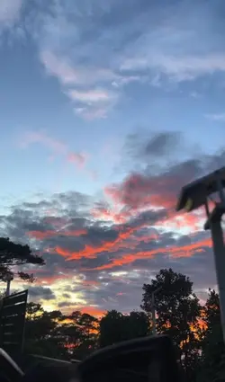 Sunset Beauty