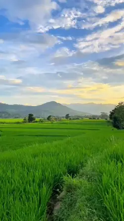suasana padesaan