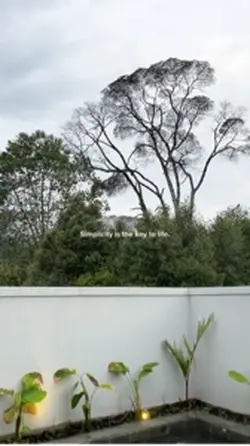 Aesthetic vlog