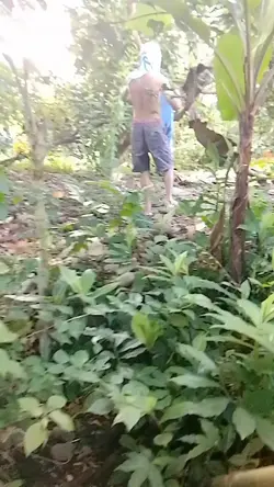 Asawang Bungangera