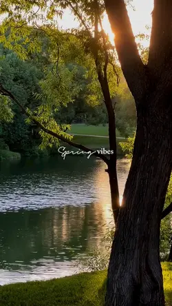 spring vibes