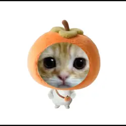 orange 🍊