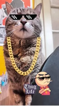 Thug Lif