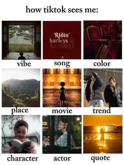 How Tiktok Sees Me