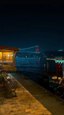 yeni şablon