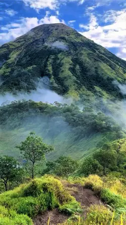 AESTHETIC GUNUNG HD