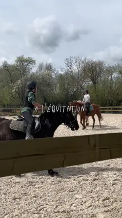 Kaizen🐴🏔